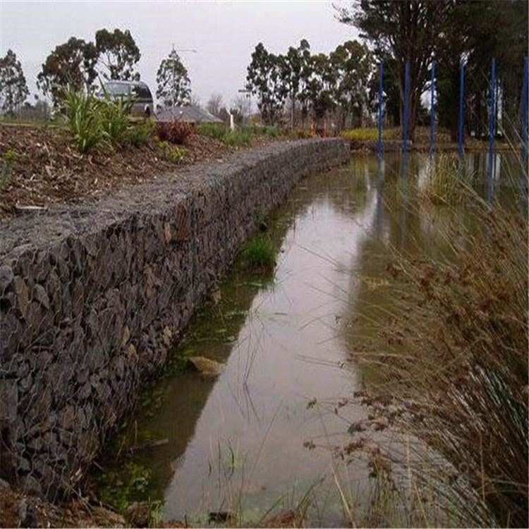 1657616634352044769.jpg 卓昌-1 (4).jpg