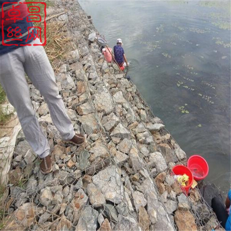 1697507343237093268.jpg 1264.jpg