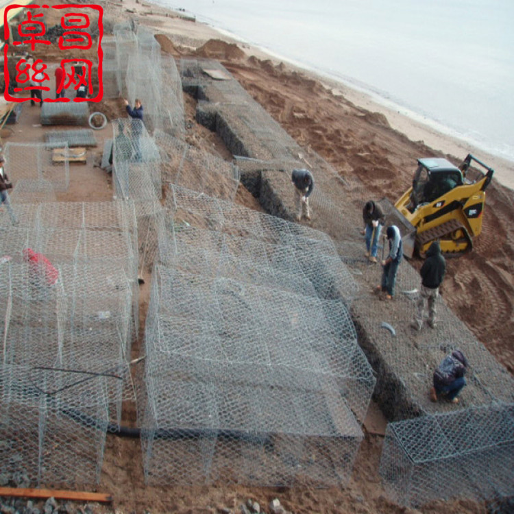 1697595080370035023.jpg 卓昌 (571)_副本.jpg