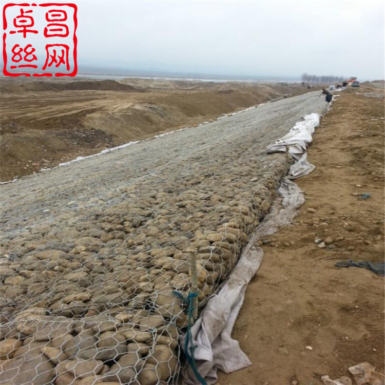 1697679897038082337.jpg 卓昌 (475).jpg