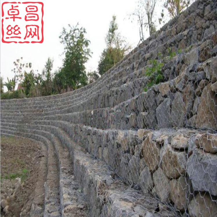 1697766850237042960.jpg 928_副本.jpg