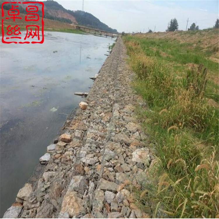 1697940545462016599.jpg 1269_副本.jpg